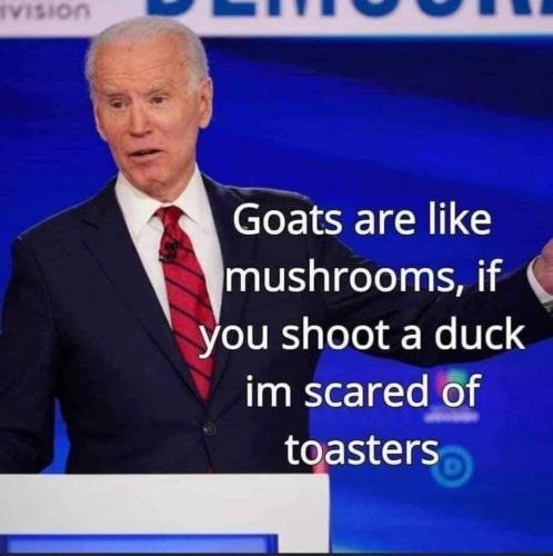 FB_IMG_1595030071062
