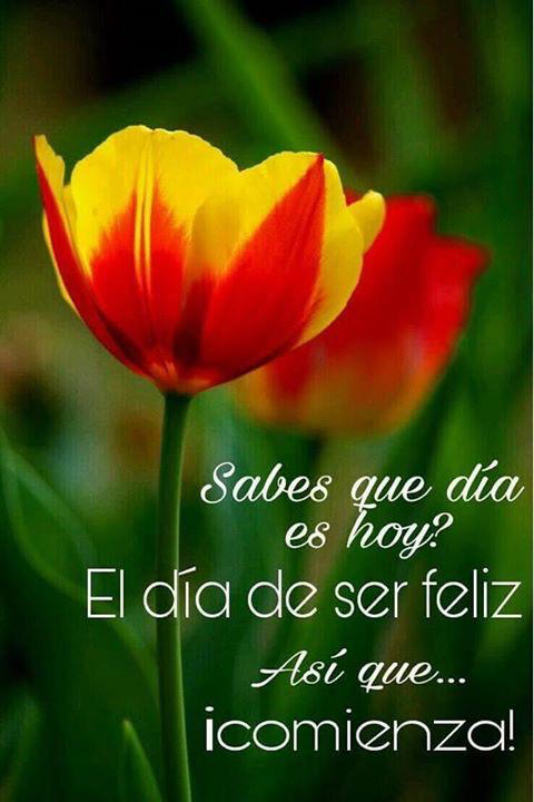 a5d022a9-f6da-4bcd-9cce-550ac5ac1824