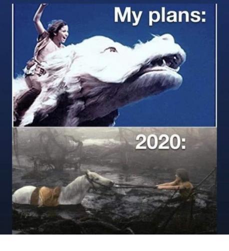 86323383