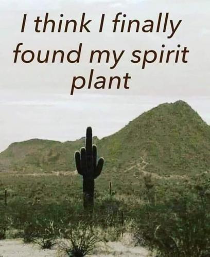 FB_IMG_1578144738208