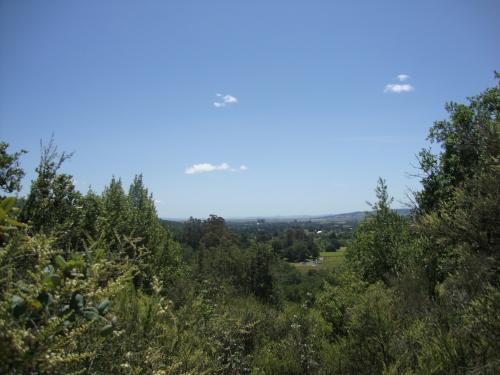 DSC03442