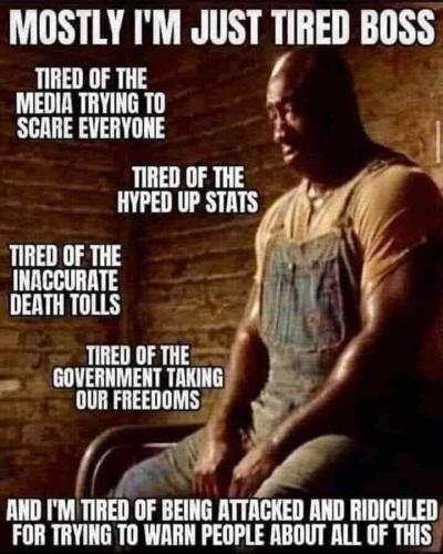 FB_IMG_1595098317890