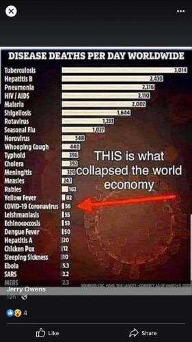 FB_IMG_1597015852109