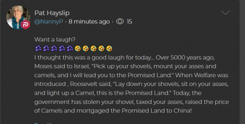 Screenshot_2020-08-03 Parler Free Speech Social Network(1)