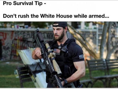 Adjustments.plist