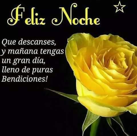 657de537-abe6-4f61-993d-ec0b2d5c0297