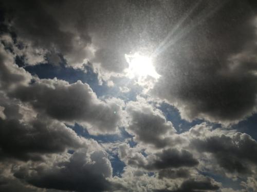 IMG-20200909-WA0008