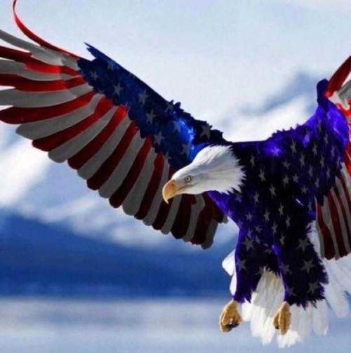 eagle