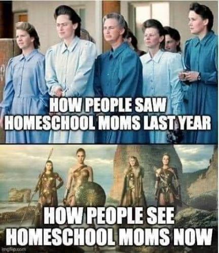 FB_IMG_1599661689381