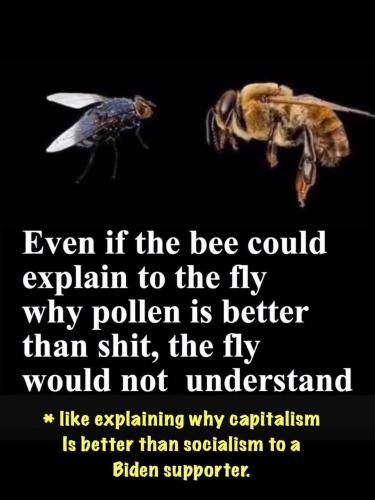 fly-bee