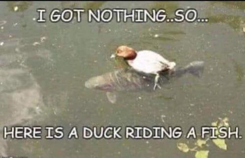 FB_IMG_1599920264987