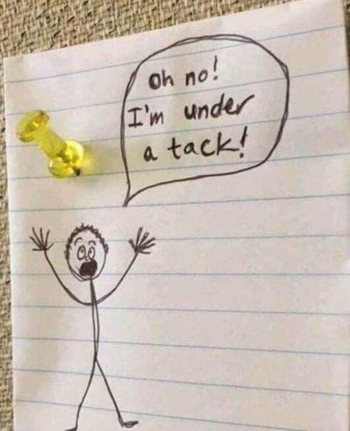 FB_IMG_1597278291674