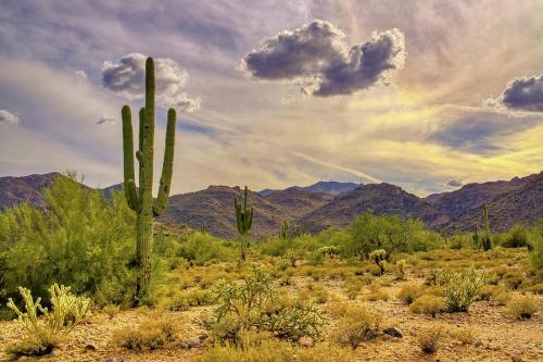 white-tank-mountain-scenes-near-phoenix-arizona-kenneth-roberts