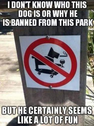 FB_IMG_1599972255506