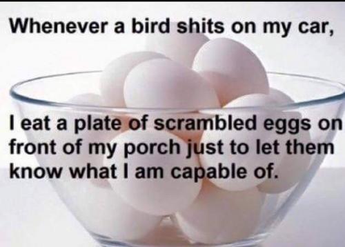 FB_IMG_1597088286905