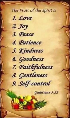 FB_IMG_1599870450810