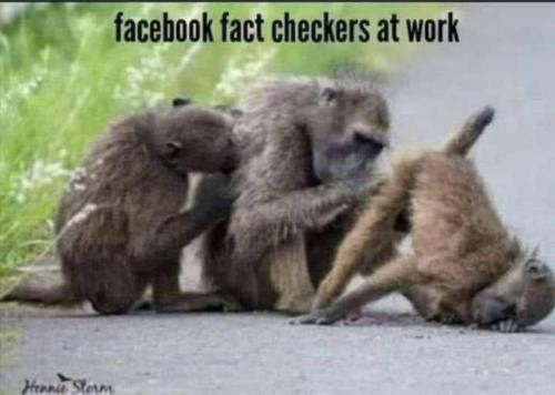 FB_IMG_1600273279068