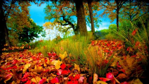 3D-HD-Nature-Images-Free-Download