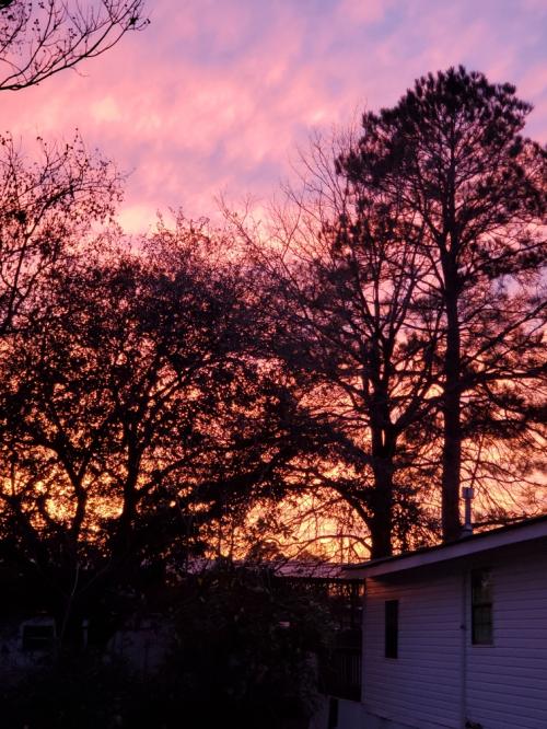 Resized_20200118_173907