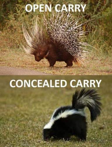 Open concealed carry