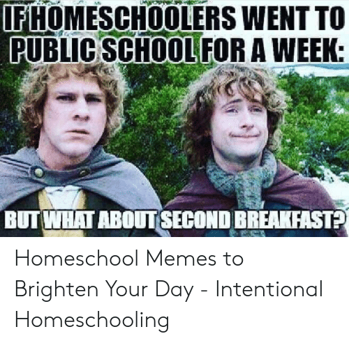 ifhomeschoolers-went-to-public-school-for-a-week-but-what-53357931