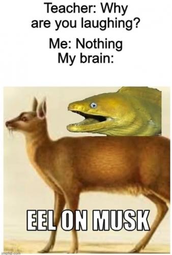 Hehehheeh