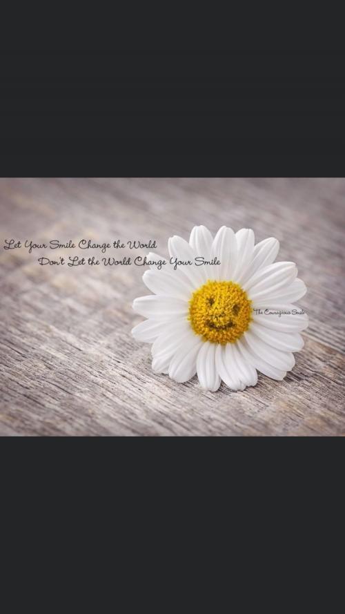 IMG_4096.PNG