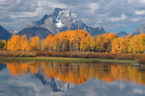 Fall cover photo