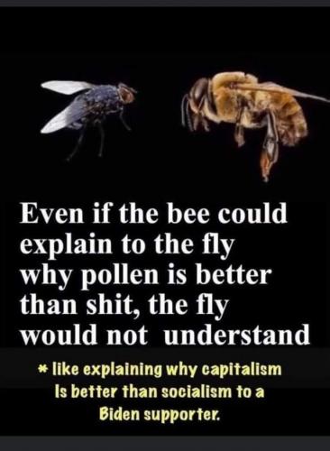 FB_IMG_1600690153461