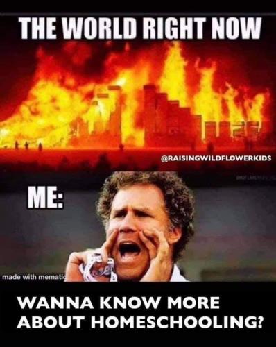 FB_IMG_1599667407407