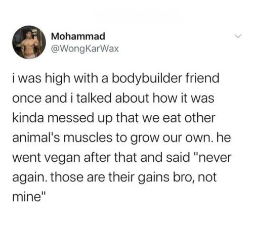 A-wholesome-bodybuilder