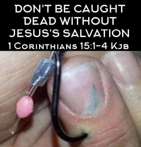 FB_IMG_1600991595246