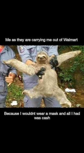 FB_IMG_1595247283688