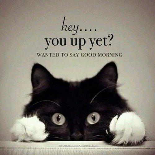 FB_IMG_1598077080631