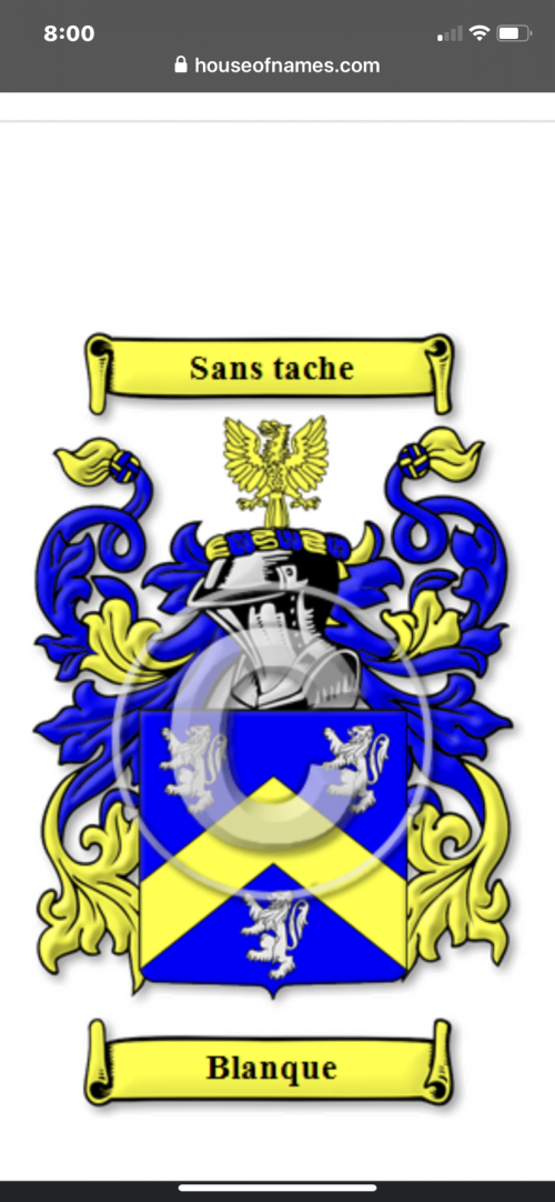 IMG_0613.PNG