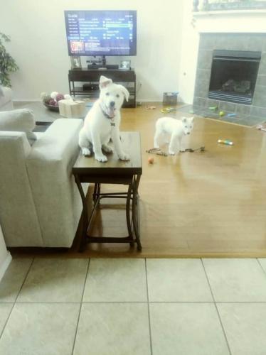 FB_IMG_1596060982576