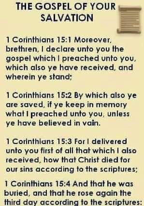 FB_IMG_1599876615785