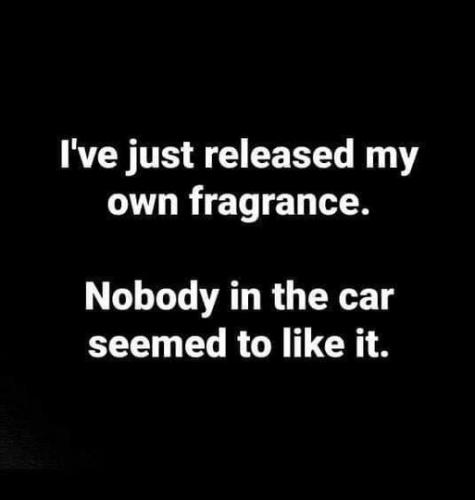 nobody in car liked it