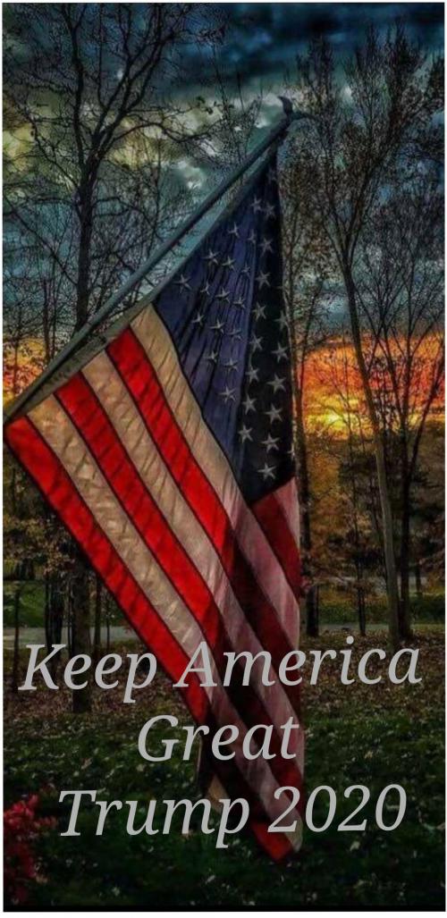 Flag_Trump_2020-bc420ef1-74e4-4603-8d0b-bd7322b0f83a