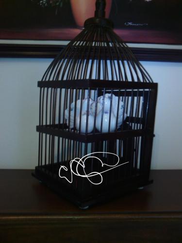 Dove Cage copy