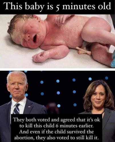 FB_IMG_1599163951939