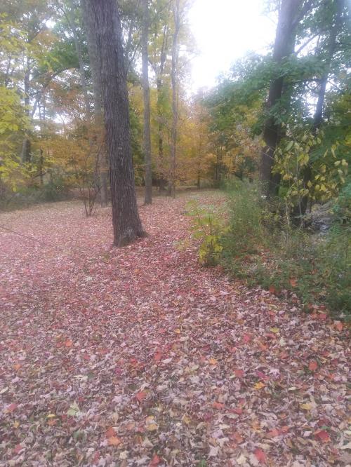20201010_163609