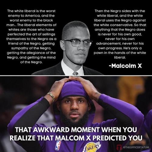 MalcomXLebron
