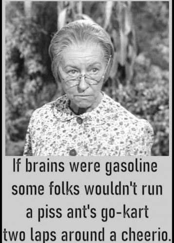 if brains were gasoline (ID 3269)