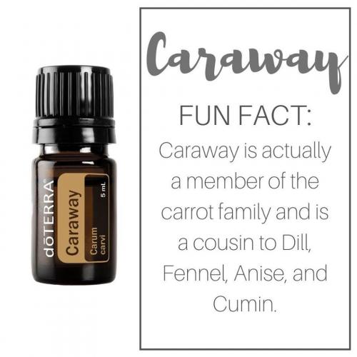 caraway funfact