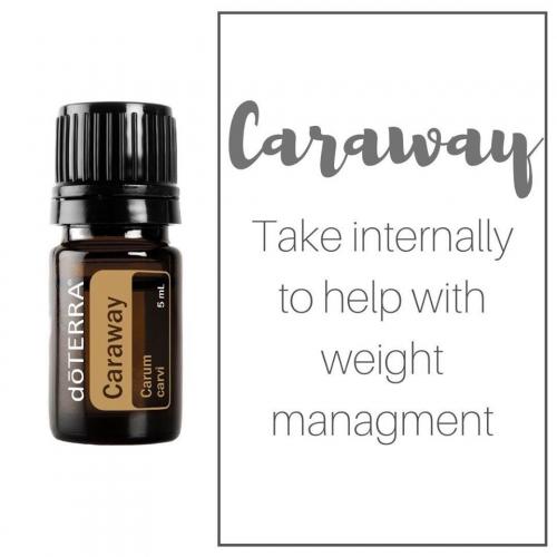 caraway weight