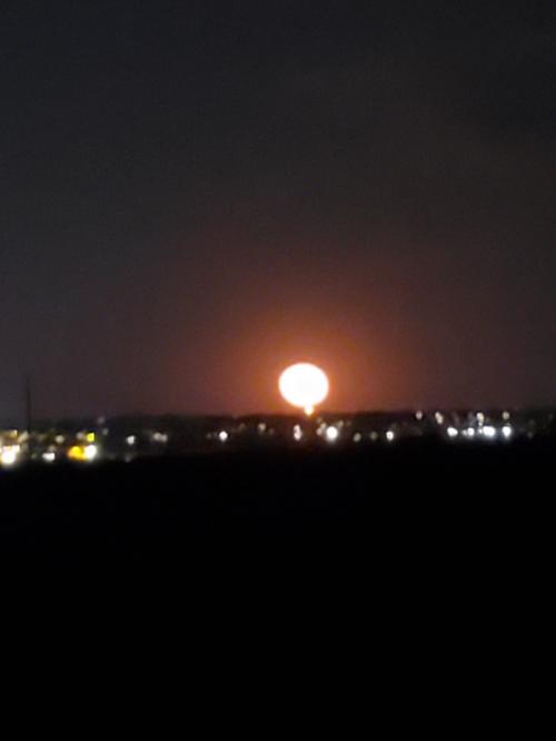 20200408_203309