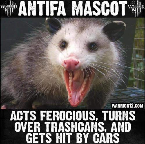 FB_IMG_1601920431088