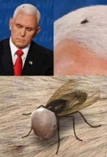 FB_IMG_1602254757287