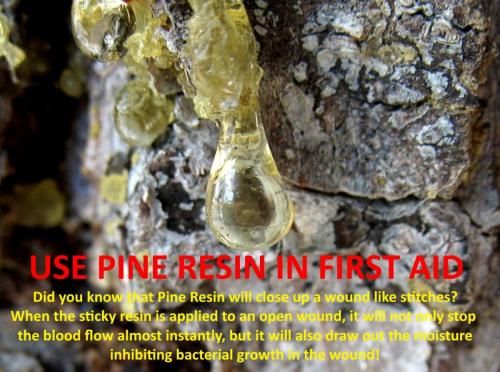 Pine Resin Aid